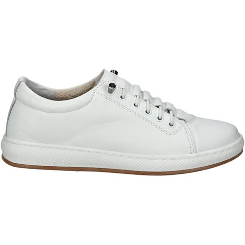 Sneakers basse Sneakers - Andrea conti - Modalova