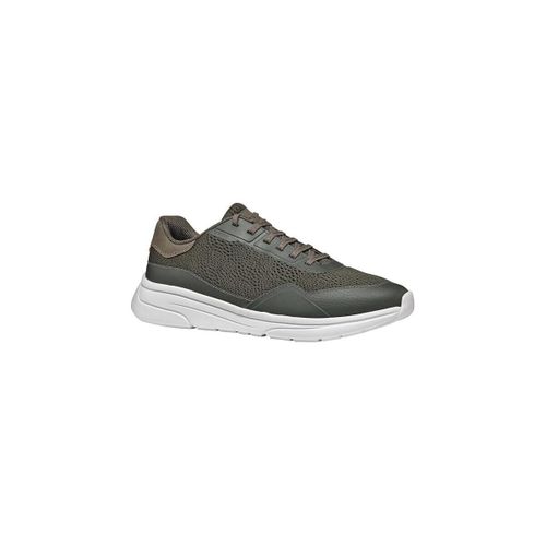 Sneakers Geox Klaiver - Geox - Modalova