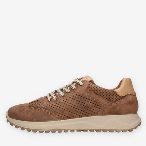 Sneakers alte 7634700-NOCCIOLA - IgI&CO - Modalova