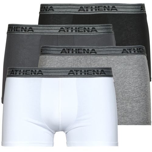 Boxer Athena BASIC COTON Pack de 4 - Athena - Modalova