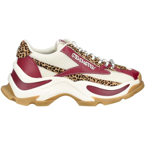 Sneakers basse Sneakers - Steve Madden - Modalova