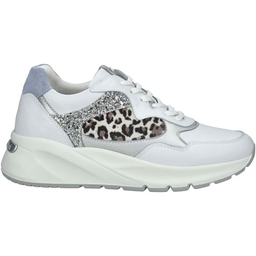 Sneakers basse Sneakers - NeroGiardini - Modalova