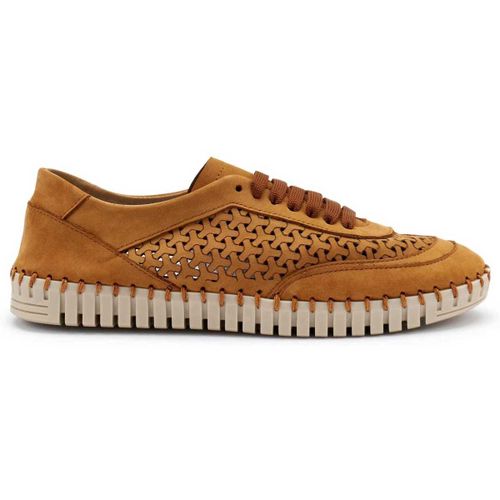 Sneakers Skeaker in nabuk laserato Caramel - Frau - Modalova