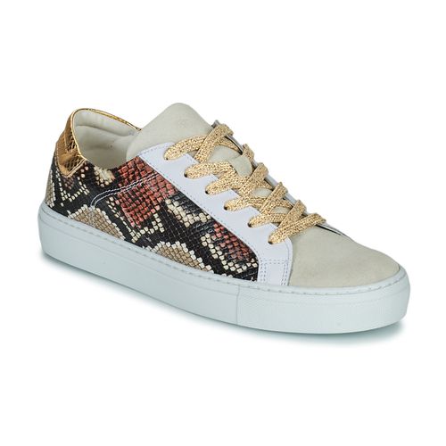 Sneakers basse PAVLINA - Betty London - Modalova