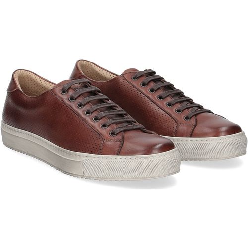 Sneakers Griffi's sneaker 1102 pelle forata - Griffis - Modalova