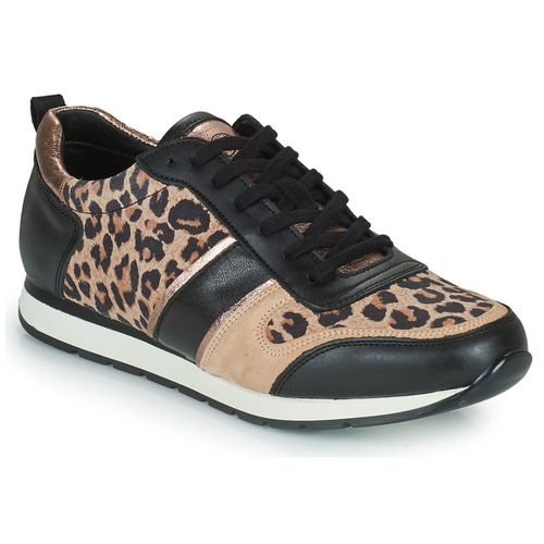 Sneakers basse PARMINE - Betty London - Modalova