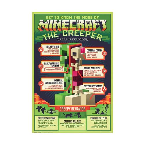 Poster Minecraft TA4673 - Minecraft - Modalova