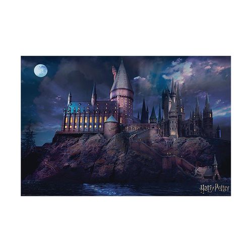 Poster Harry Potter TA357 - Harry Potter - Modalova