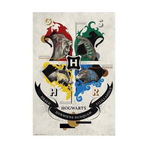 Poster Harry Potter TA7723 - Harry Potter - Modalova