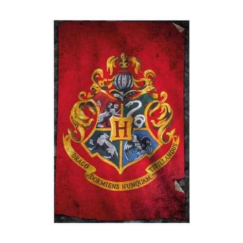 Poster Harry Potter TA356 - Harry Potter - Modalova