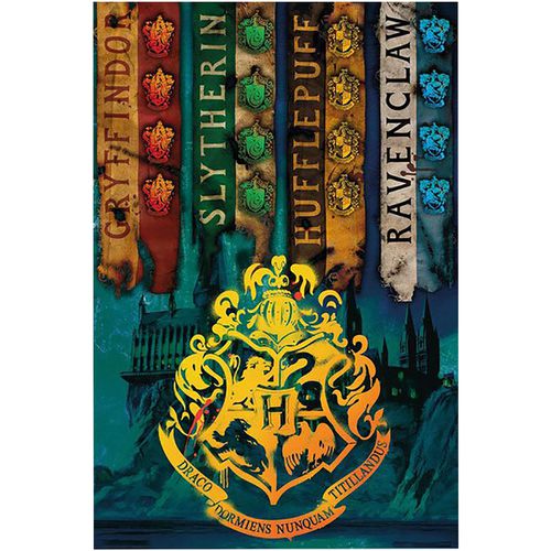 Poster Harry Potter TA359 - Harry Potter - Modalova