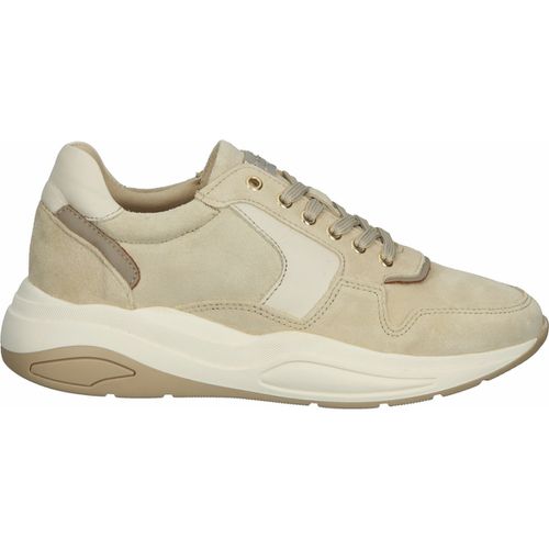 Sneakers basse Scapa Sneakers - Scapa - Modalova