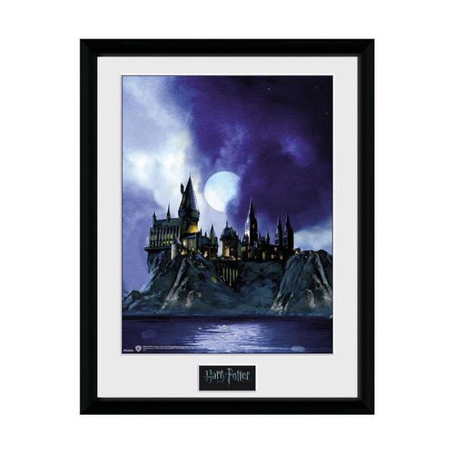 Cornici foto Harry Potter TA7615 - Harry Potter - Modalova