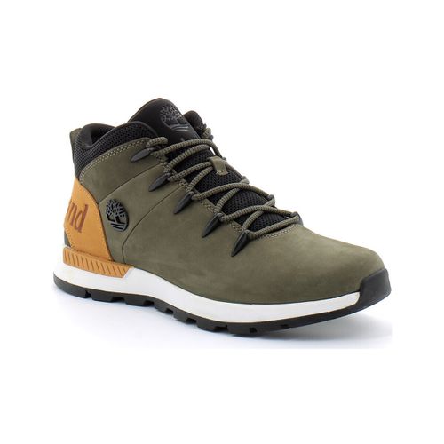 Sneakers Timberland - Timberland - Modalova