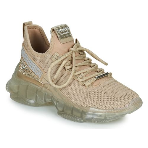 Sneakers basse MAXILLA-R - Steve Madden - Modalova