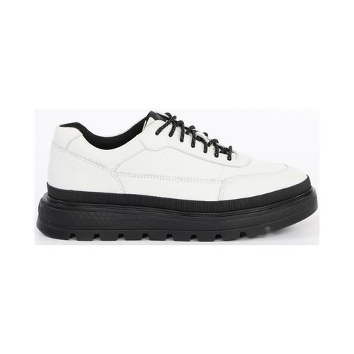 Sneakers basse Ray city oxford - Timberland - Modalova