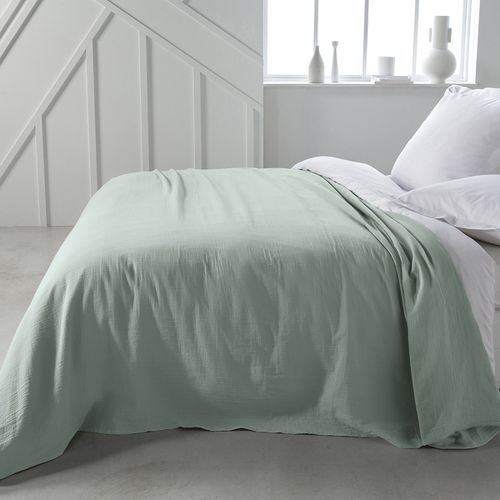 Plaid, coperte Jete de Lit 220/240 Gaze de coton Essential Celadon - Today - Modalova