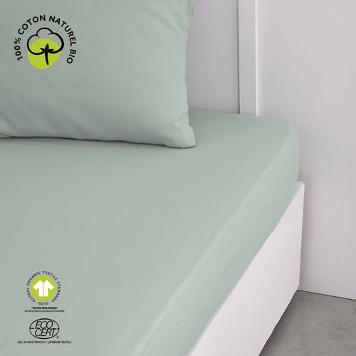 Lenzuolo con angoli DH 90/190+23 Coton Organic Celadon - Today - Modalova