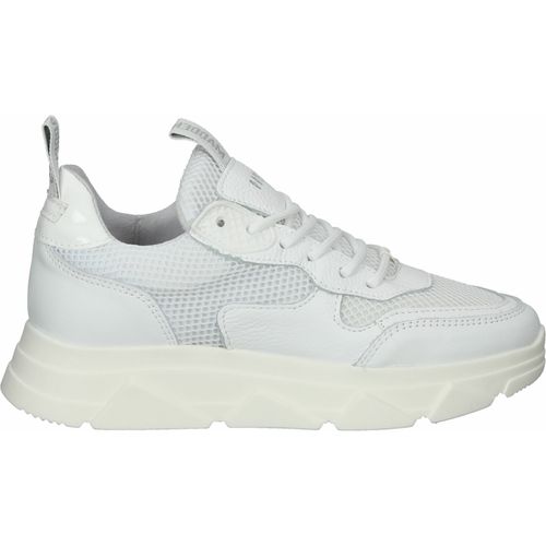 Sneakers basse Sneakers - Steve Madden - Modalova