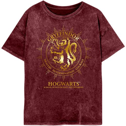 T-shirts a maniche lunghe Gryffindor Constellation - Harry Potter - Modalova