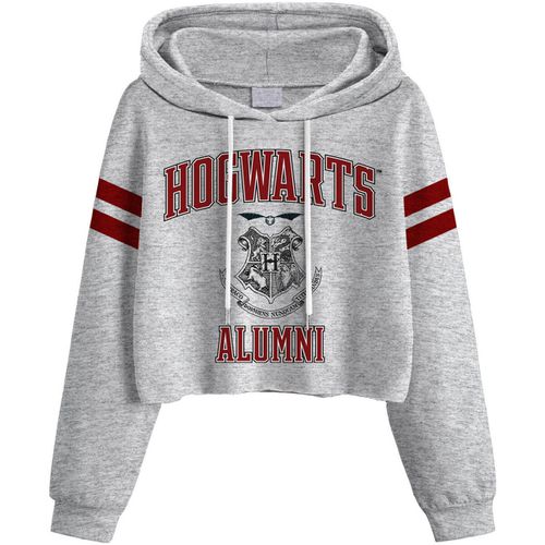 Felpa Harry Potter Hogwarts - Harry Potter - Modalova