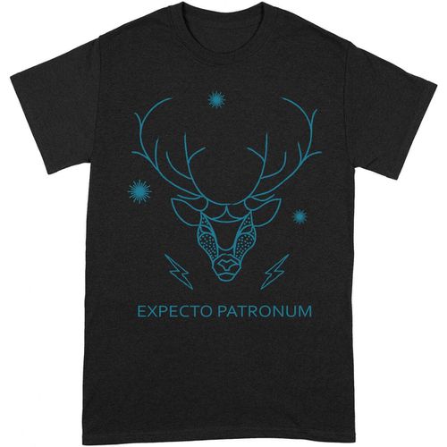 T-shirts a maniche lunghe Expecto Patronum - Harry Potter - Modalova