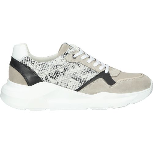 Sneakers basse Brax Sneakers - Brax - Modalova