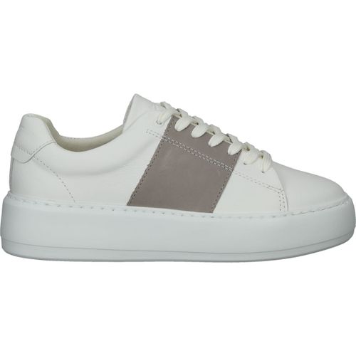 Sneakers Brax Sneakers - Brax - Modalova