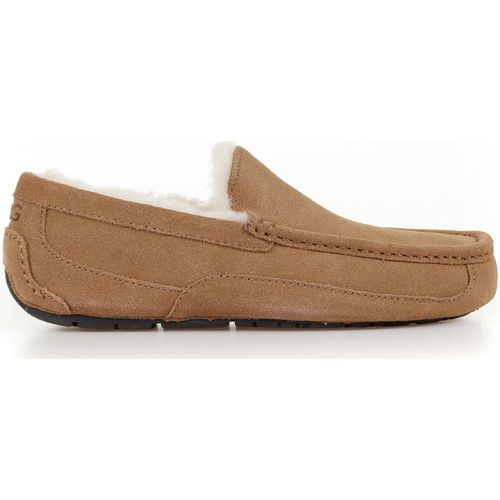 Scarpe UGG Mocassino Ascot - Ugg - Modalova