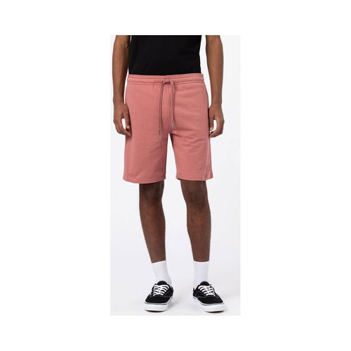 Pantaloni corti Champlin Short - Dickies - Modalova