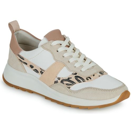 Sneakers basse DASHLITE JAZZ - Clarks - Modalova