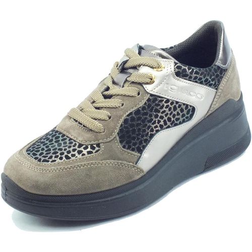 Sneakers IgI&CO 2656722 Scam. Gira - IgI&CO - Modalova