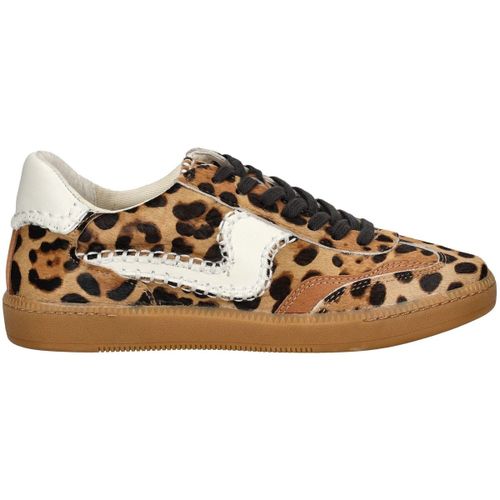 Sneakers basse Sneakers - Dolce & Vita - Modalova