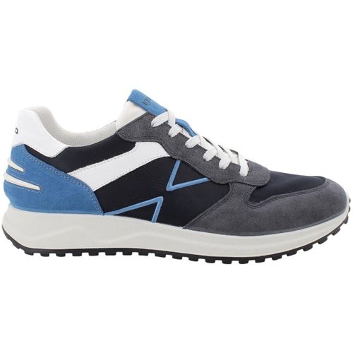 Sneakers IgI&CO 7634800 - IgI&CO - Modalova