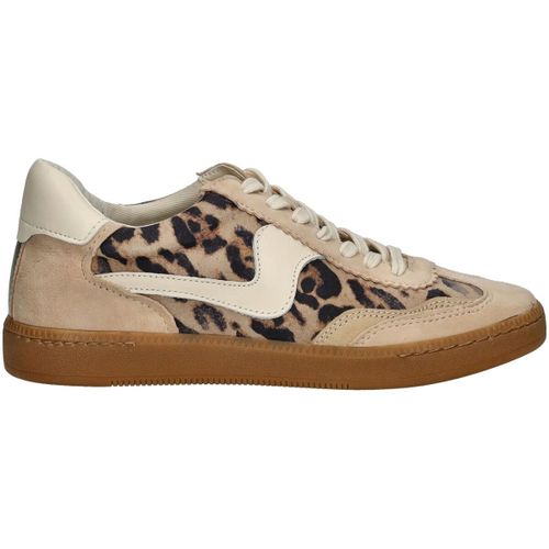 Sneakers basse Sneakers - Dolce & Vita - Modalova