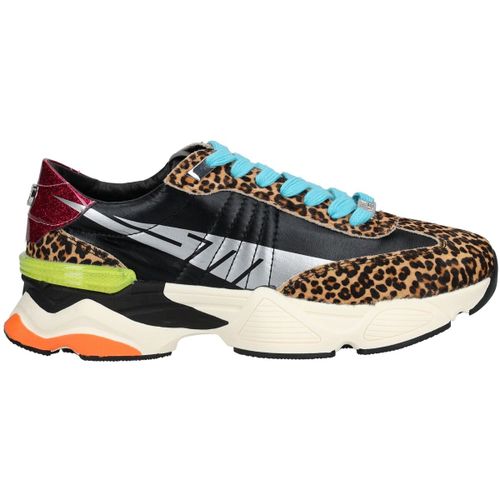 Sneakers basse Sneakers - Steve Madden - Modalova