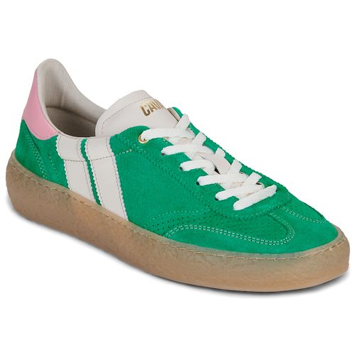 Sneakers basse HIGH PULSE PINE BLOOM - Caval - Modalova