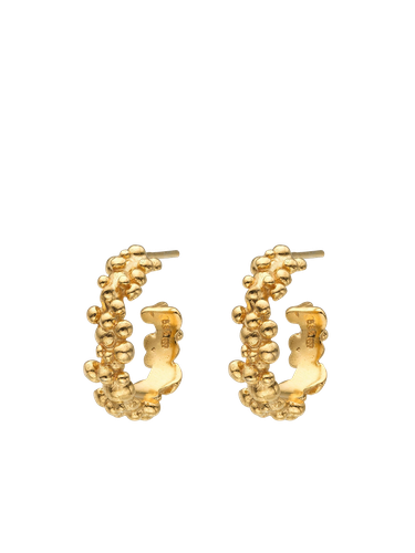 Céleste Deux Small Hoop Earrings | Women's Earrings - Eva Remenyi - Modalova
