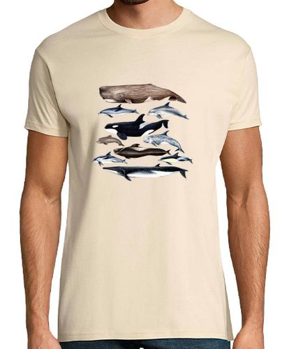 Camiseta Ballenas, cachalotes, rorcual y delfines camiseta laTostadora - latostadora.com - Modalova