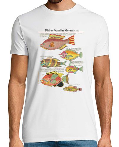 Camiseta Ilustración científica antigua de peces de un libro de 1754. Hombre, manga corta, blanco, calidad ex - latostadora.com - Modalova