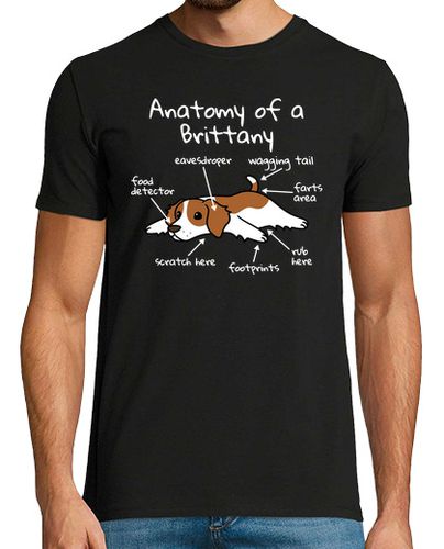 Camiseta Perro Spaniel Bretón Anatomía - latostadora.com - Modalova
