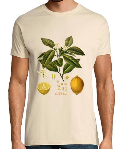 Camiseta LIMÓN - Ilustración botánica Siglo XIX - latostadora.com - Modalova