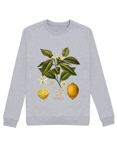 Sudadera Sin Capucha Unisex LIMÓN - Ilustración botánica Siglo XIX laTostadora - latostadora.com - Modalova