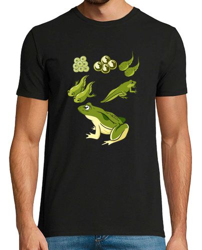 Camiseta Biology Frog Lifecycle - latostadora.com - Modalova