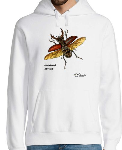 Sudadera Con Capucha Para Hombre Lucanus cervus laTostadora - latostadora.com - Modalova