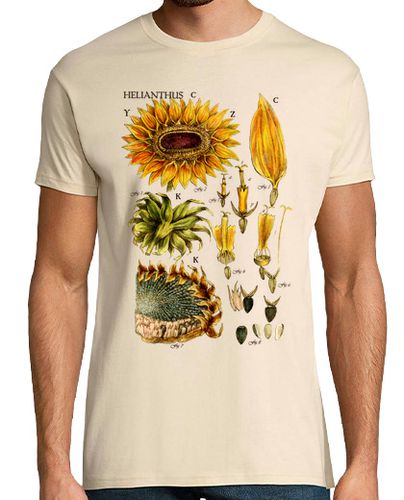 Camiseta Girasol ilustración botánica siglo XIX - latostadora.com - Modalova