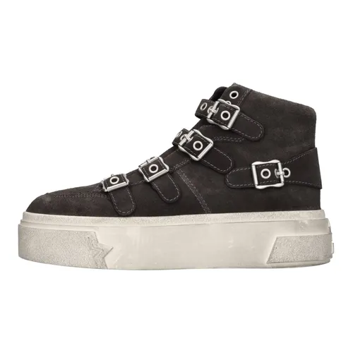 ASH - Shoes > Sneakers - Gray - ASH - Modalova