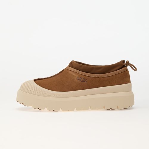 Sneakers M Tasman Weather Hybrid / EUR 37 - UGG - Modalova