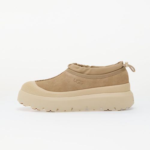 Sneakers M Tasman Weather Hybrid / EUR 43 - UGG - Modalova