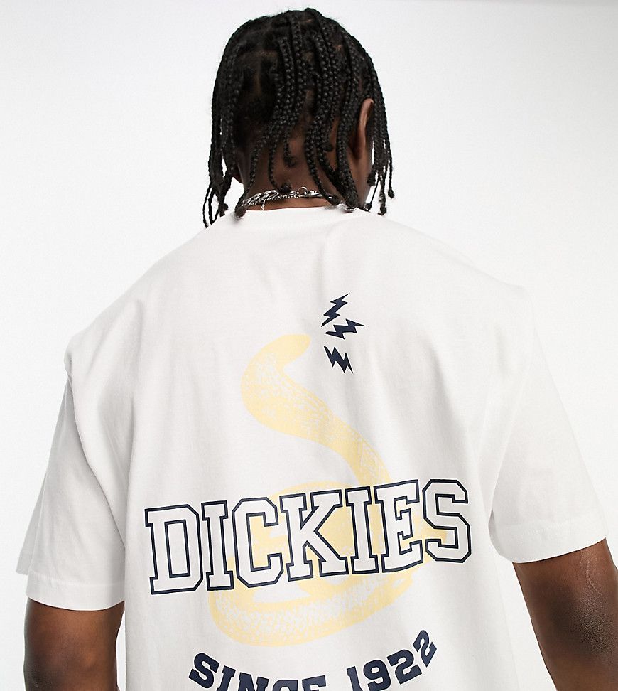 Cascade Locks - T-shirt bianca con stampa di serpente sul retro - In esclusiva per ASOS - Dickies - Modalova